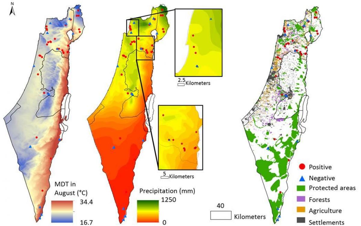 地图以色列的气候
